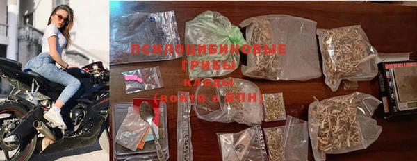 спайс Арсеньев