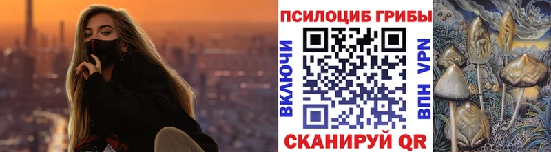 OMG ONION Тейково Псилоцибиновые грибы GOLDEN TEACHER цены наркотик